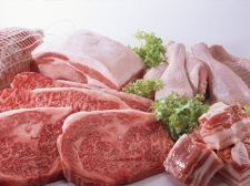 雞肉